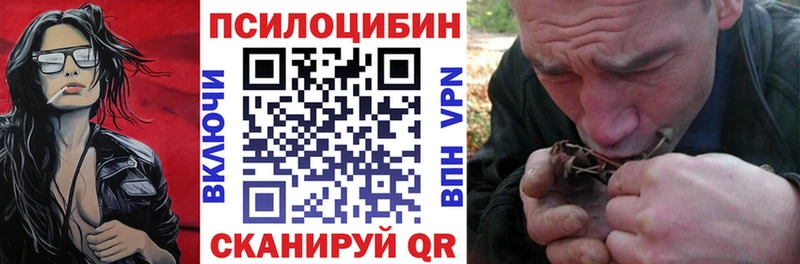 Псилоцибиновые грибы GOLDEN TEACHER  сколько стоит  Шацк 
