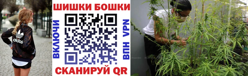 как найти наркотики  Шацк  Бошки Шишки гибрид 